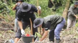 BRI berkolaborasi dengan Yayasan Bakau Manfaat Universal menyalurkan bantuan 2.500 bibit pohon durian bagi para petani di Kampung Tanjung Barat. (Dok. Bank BRI)
